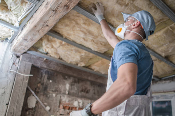 Best Eco-Friendly Insulation in Tysons, VA