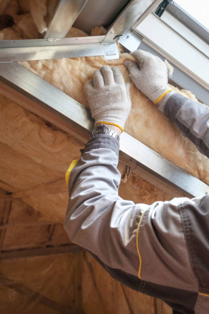 Professional Insulation Contractor in Tysons, VA