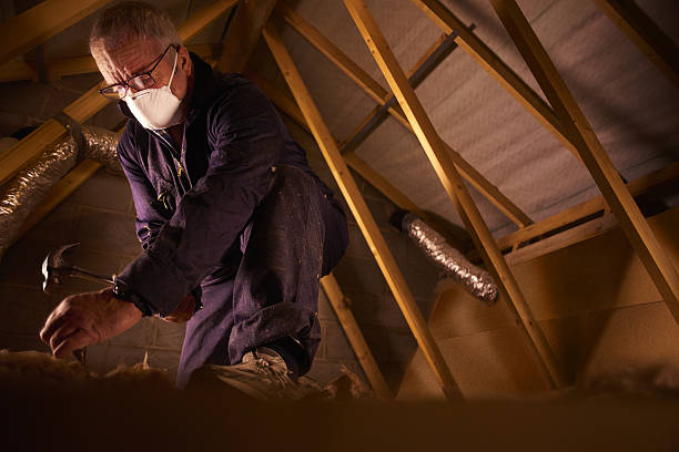 Types of Insulation We Offer in Tysons, VA