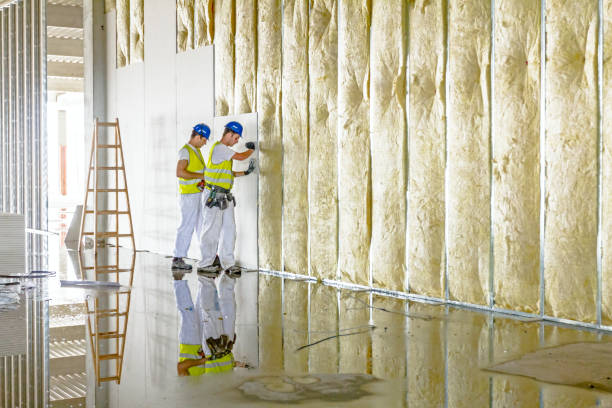 Best Spray Foam Insulation in Tysons, VA